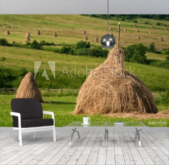 Picture of Field with haystacks Rural landscape hey rolls on the field at the mountain in Ukraine